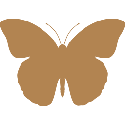 Solid brown butterfly silhouette on a light background, viewed from above with wings spread open.